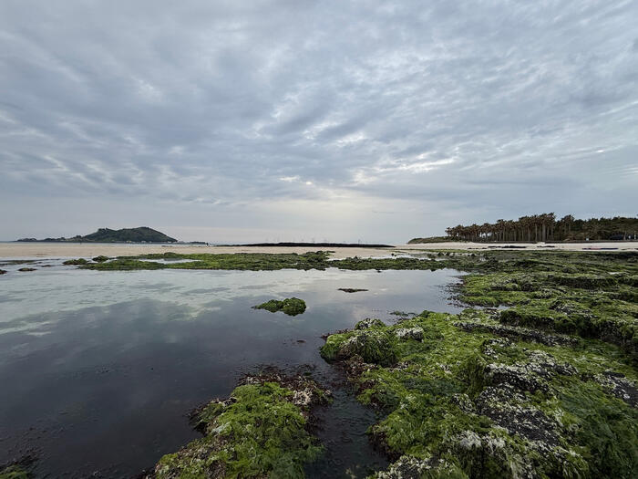 geumneung beach, jeju
