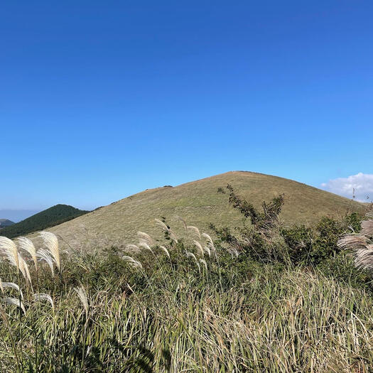 jeju oreum